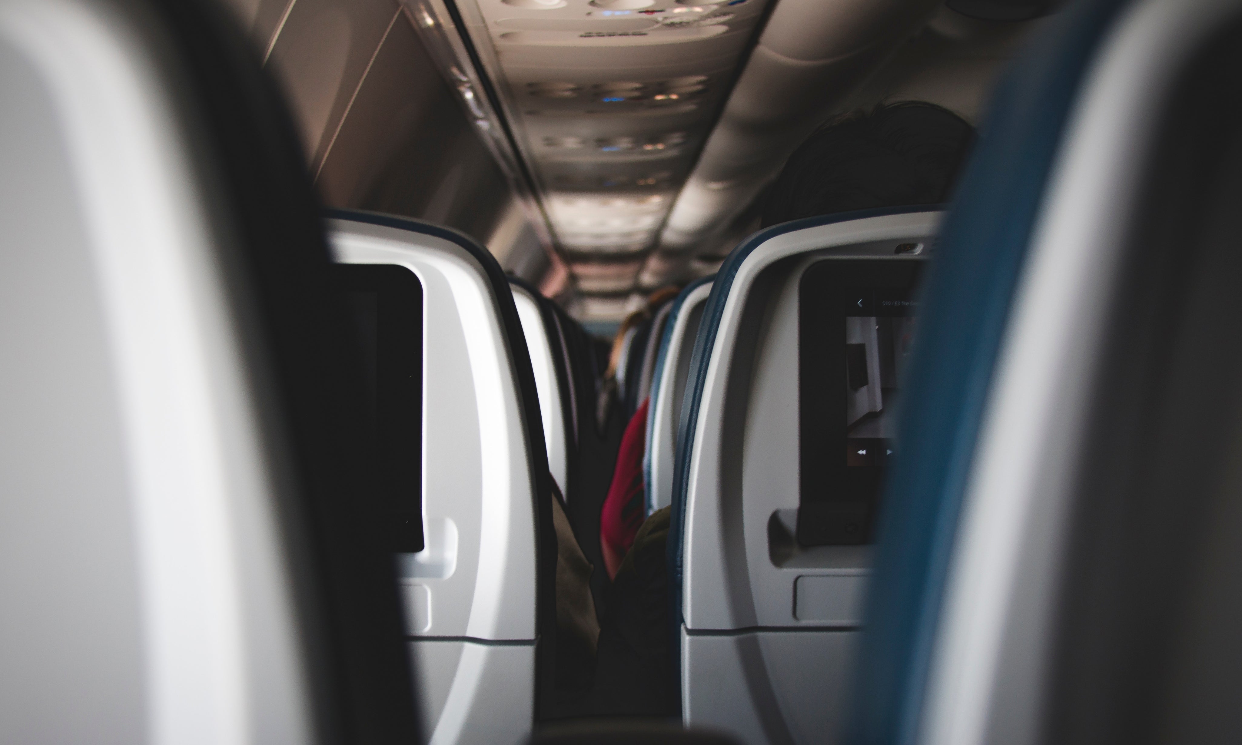 10 Tips for Taking Your Dog on a Flight (in cabin)