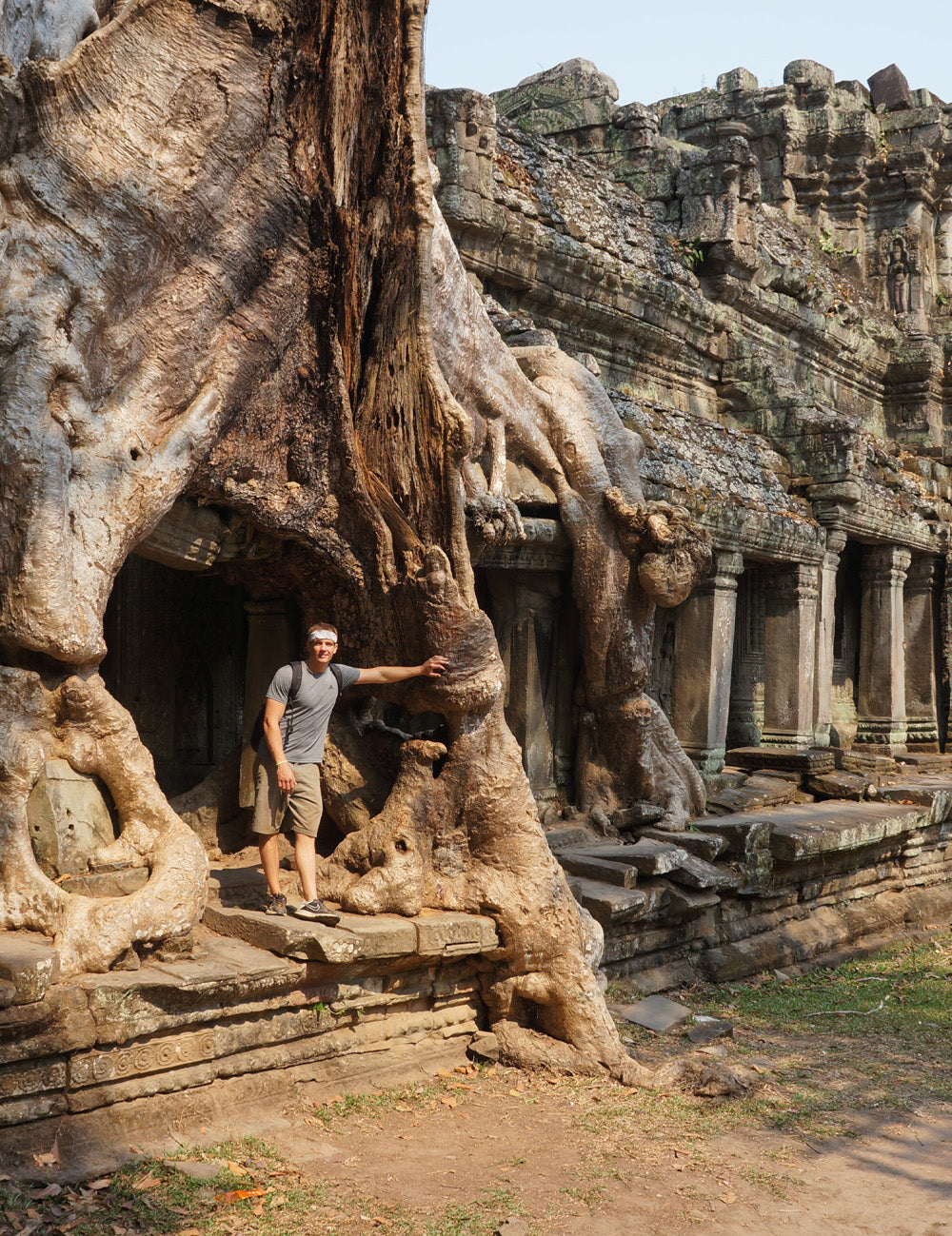 Man standing under a large ancient tree growing among temple ruins