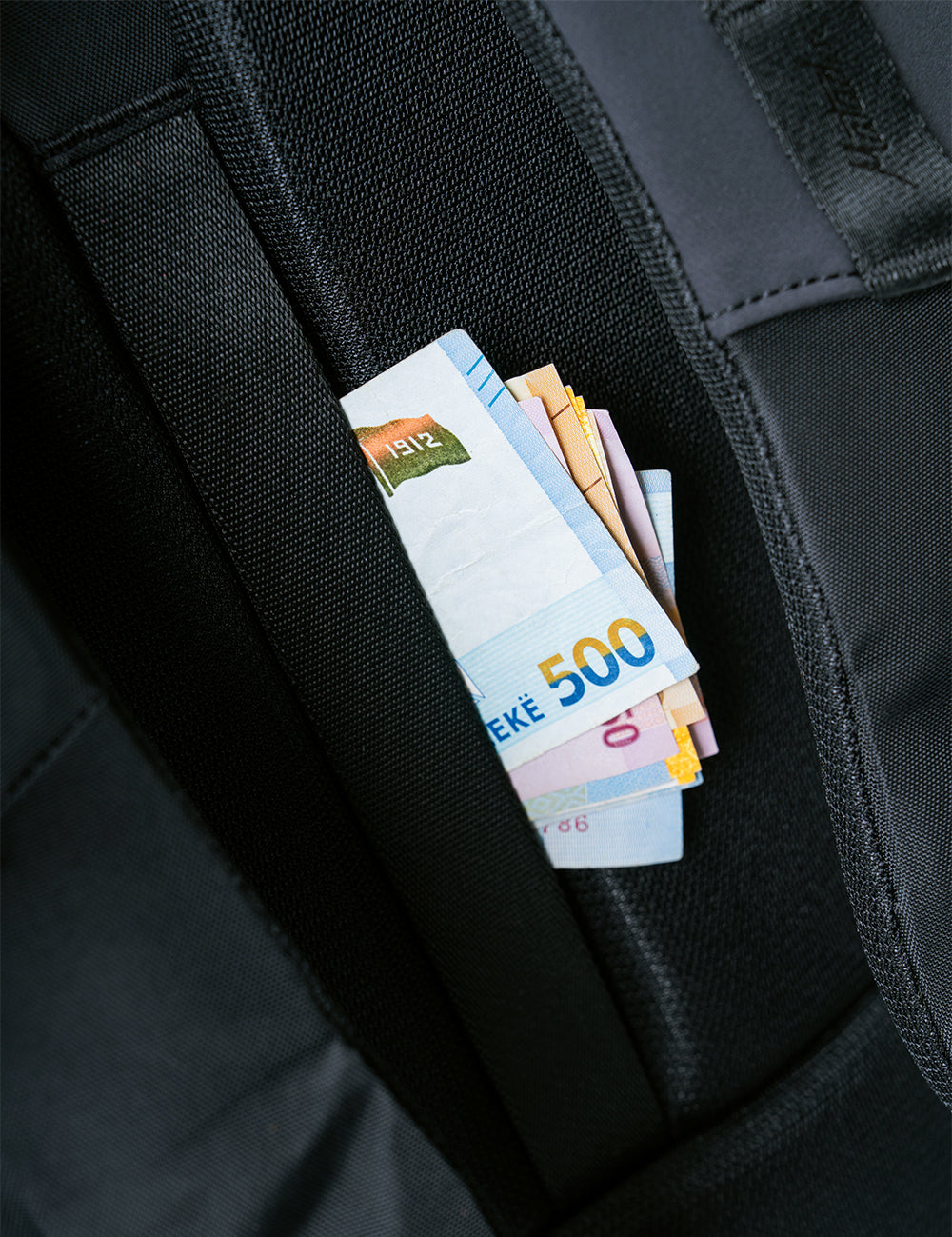foreign currency in hidden backpack pocket